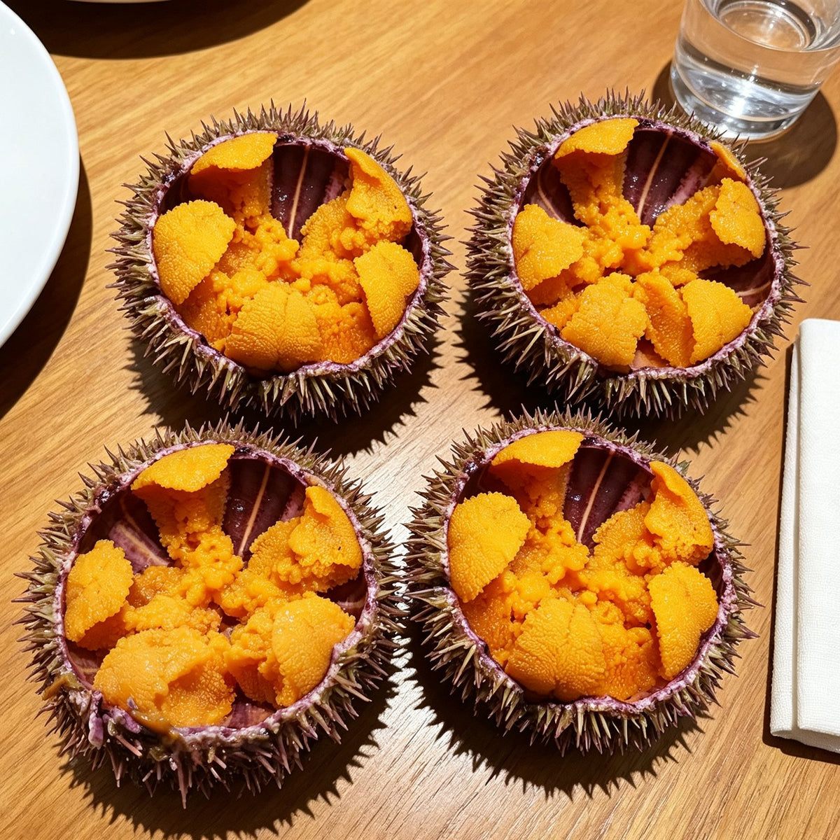 Fresh Sea Urchin with Roe