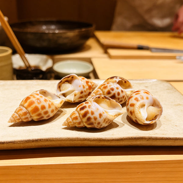 Fresh Spotted Babylon Sea Snails